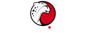 Playtika